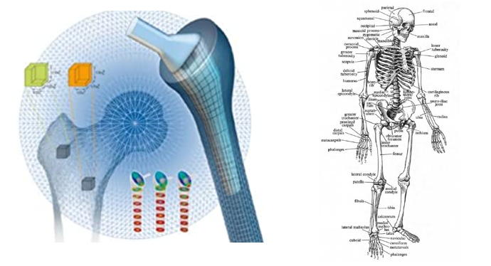 Course Overview | Drahmednagib.com